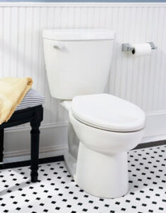 In the Flow: Water-Saving Toilets and Showerheads Image